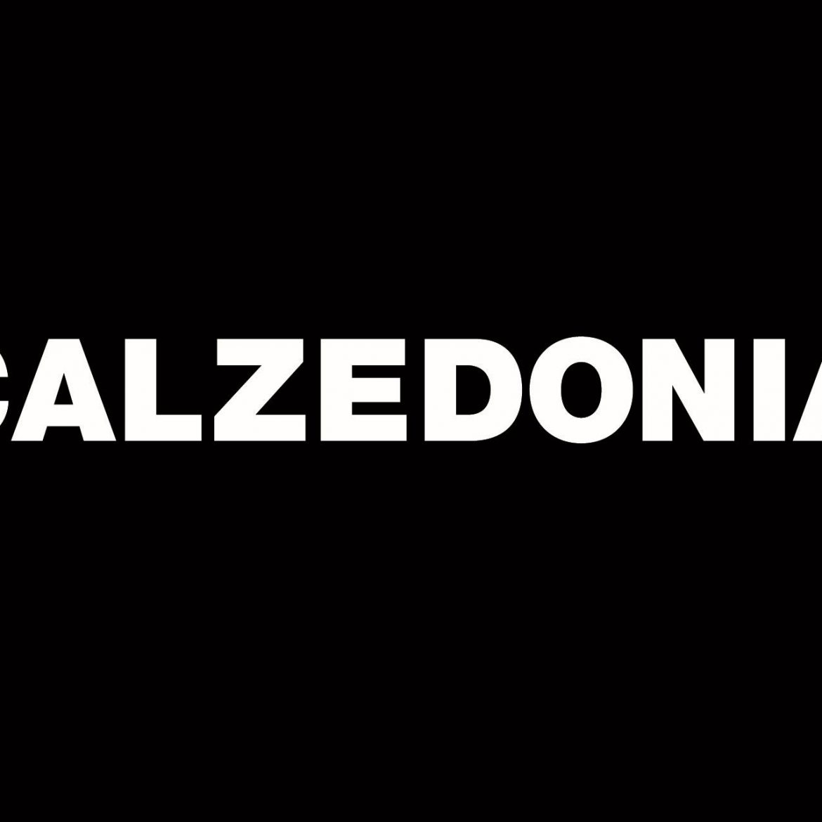 logo-calzedonia1
